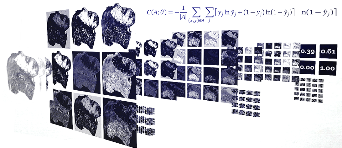 An illustration of a Deep neural network